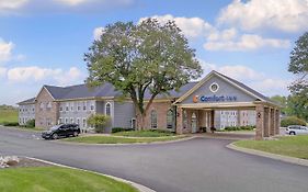 Comfort Inn Plainwell